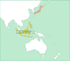 セランガンバツの産地