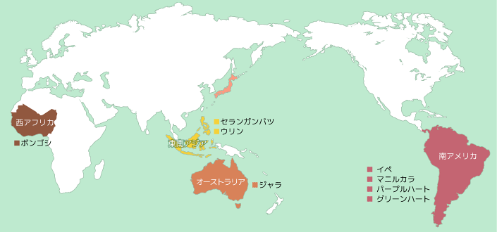 世界のハードウッド